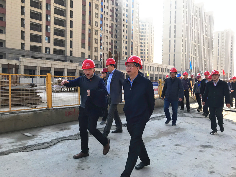 温州市副市长陈建明一行莅临奥体中心站视察指导工作