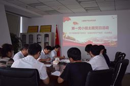 机关党支部开展“纪律规矩在我心中” 主题党日活动